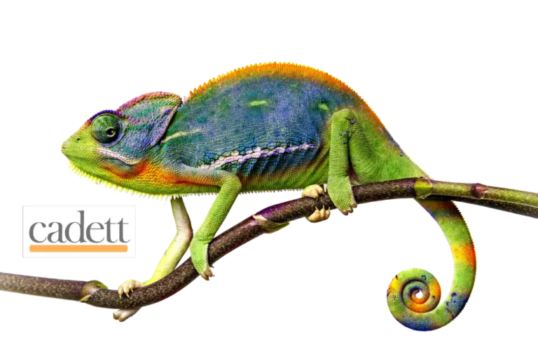 cadett ELSA for circuit diagram